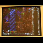 soft_blackthorne_5