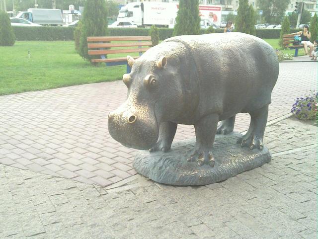 Hippo