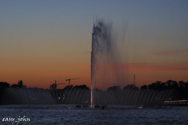 IMG_8489.JPG